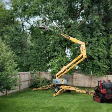 Best Commercial Tree Services  in Fairfield, AL